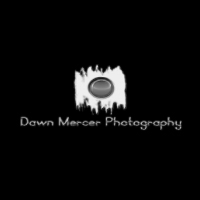Dawn Mercer Photography